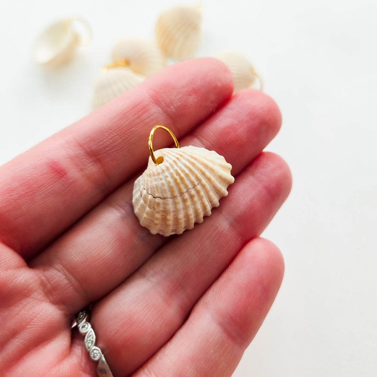 Seashell Bikini Charms
