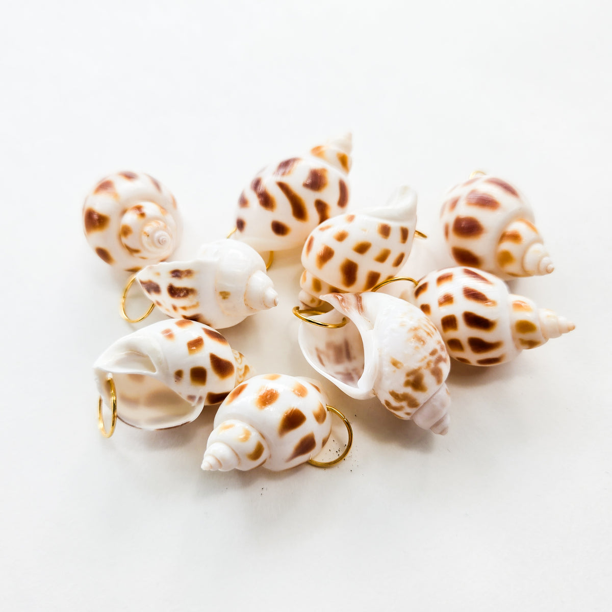 Seashell Bikini Charms