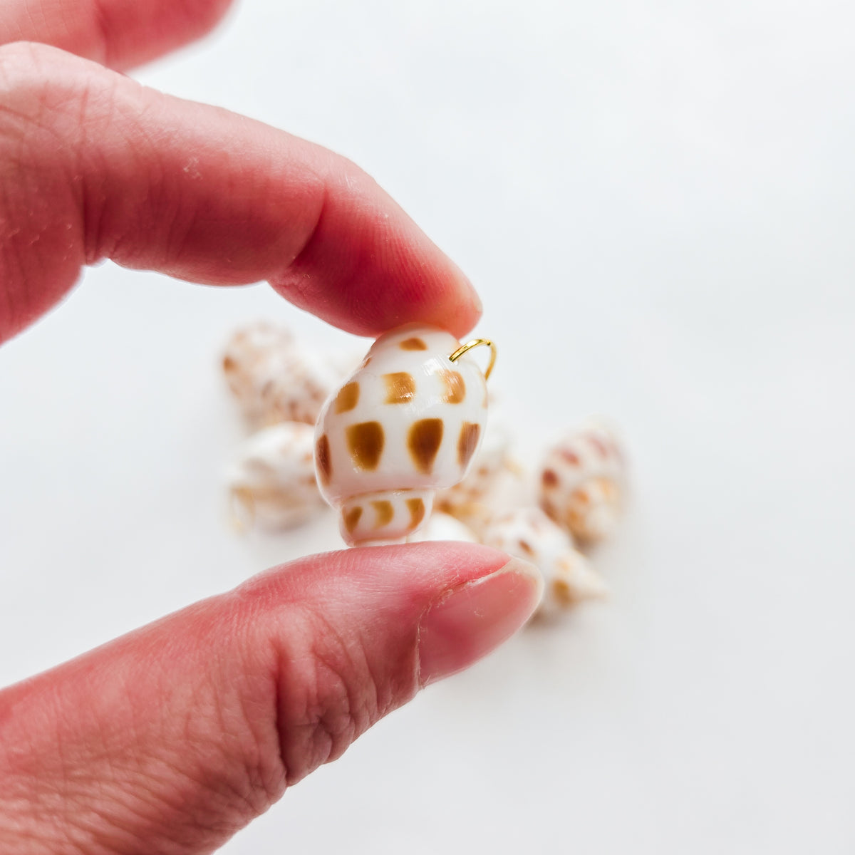 Seashell Bikini Charms