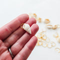 Seashell Bikini Charms